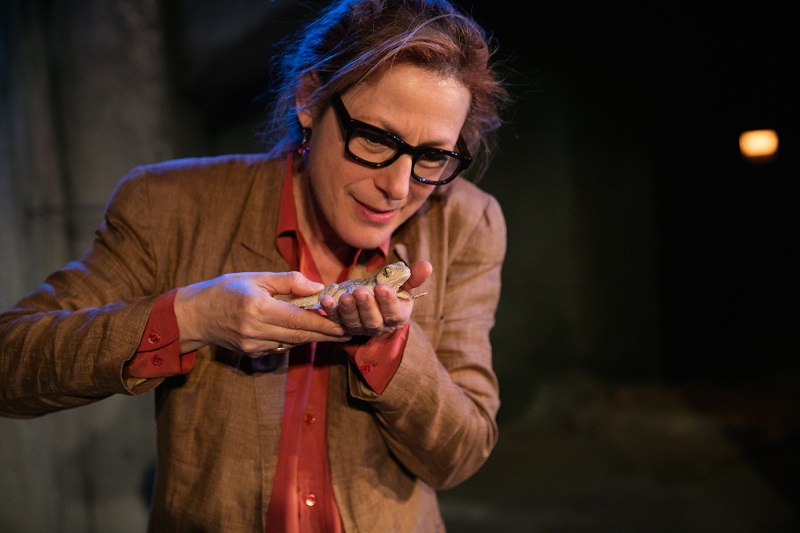 Stacie Chaiken plays genetic archeologist Sally Jenkins in her solo play The Dig at L.A.T.C. (photo by Grettle Cortes)