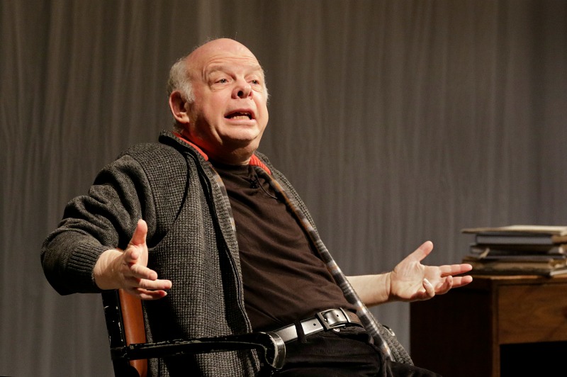 Wallace Shawn in The Designated Mourner at REDCAT (Photo by Larry K. Ho)