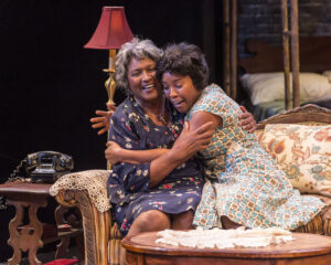 Read more about the article A Raisin in the Sun