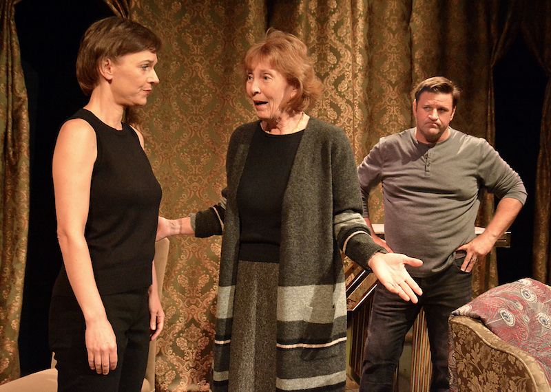 Tina Van Berckelaer, Shaw Purnell and Matthew Downs in Cailin Maureen Harrison's Last Swallows at The Other Space Theatre. (Photo by Ed Krieger)