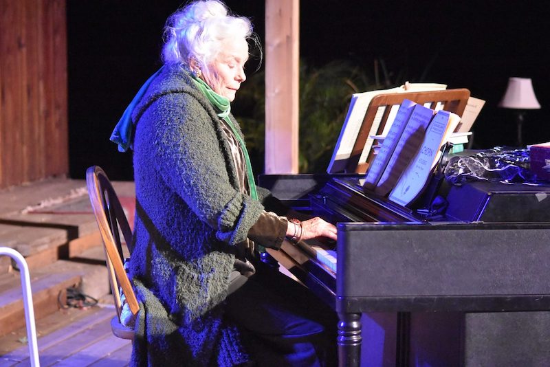 Ellen Geer in West Side Waltz at Theatricum Botanicum. (Photo by Ian Flanders)