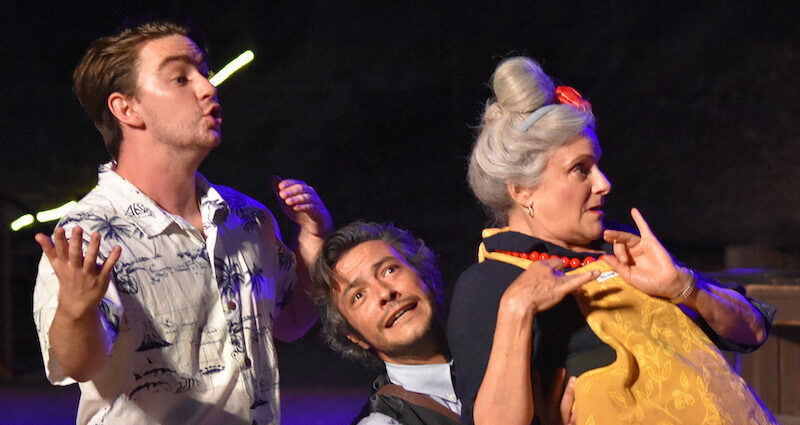 The Merry Wives of Windsor